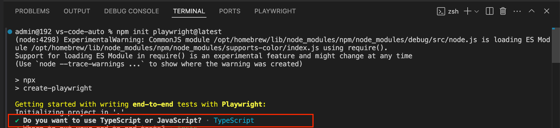 Choose between TypeScript or JavaScript