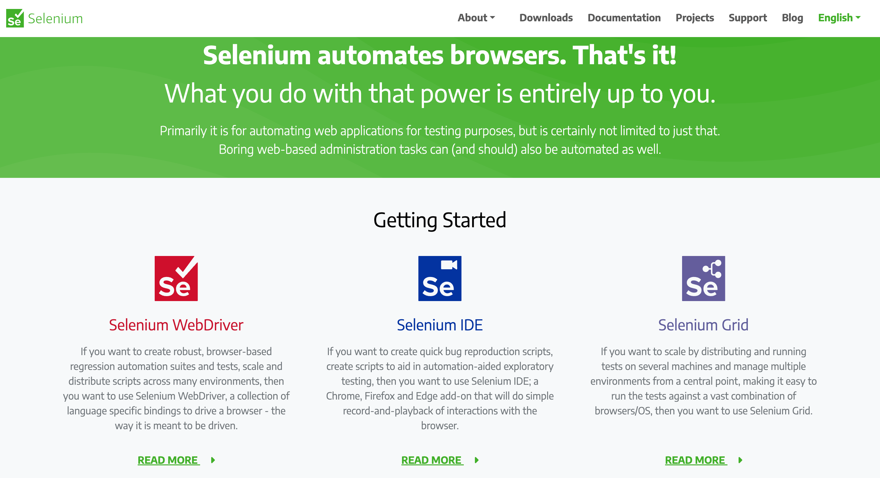 Selenium testing tool